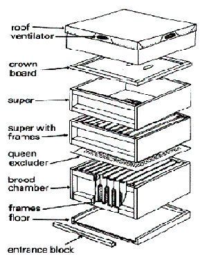 Diagram of a typical hive
