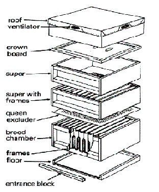 Bee Box Diagram